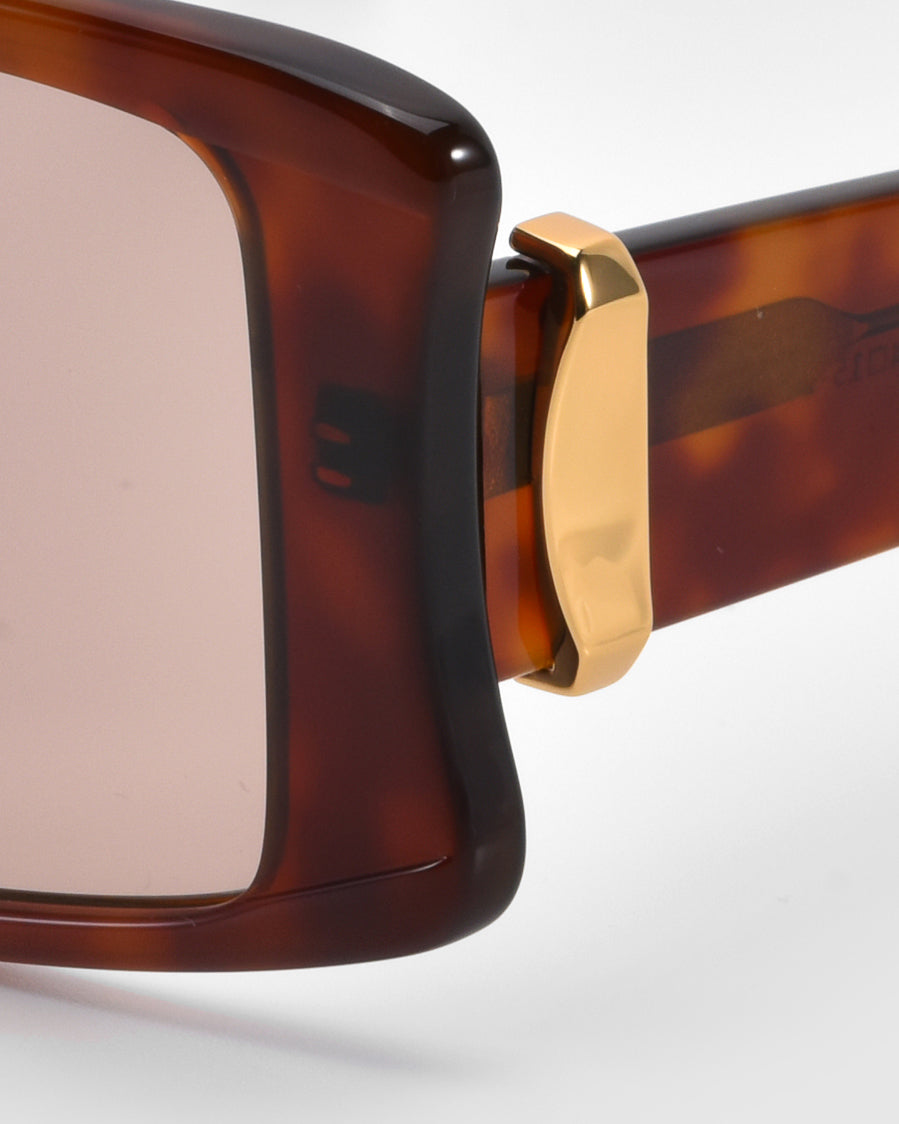 Close-up of the corner of For Art's Sake® Bloom oversized acetate tortoiseshell sunglasses featuring a gold hinge. The slightly tinted lenses emphasize the bold design and premium craftsmanship, with focus on the intricate hinge detail of this stunning accessory.